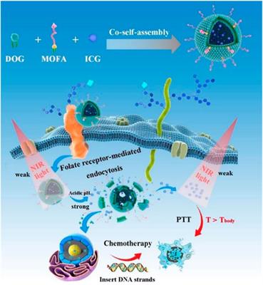 Folate-receptor-targeted co-self-assembly carrier-free gemcitabine nanoparticles loading indocyanine green for chemo-photothermal therapy